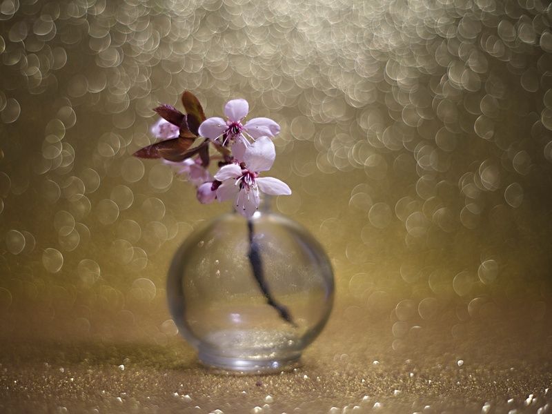 wiosennie фото превью