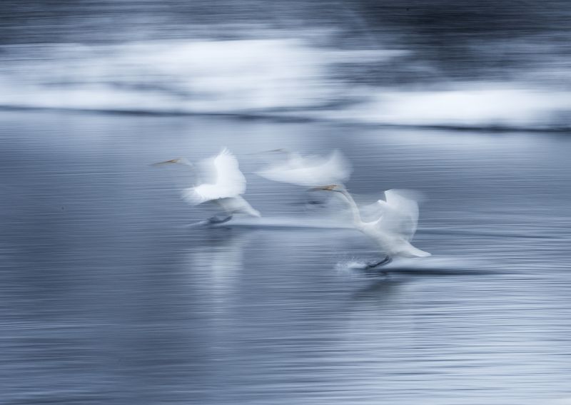 In motion фото превью