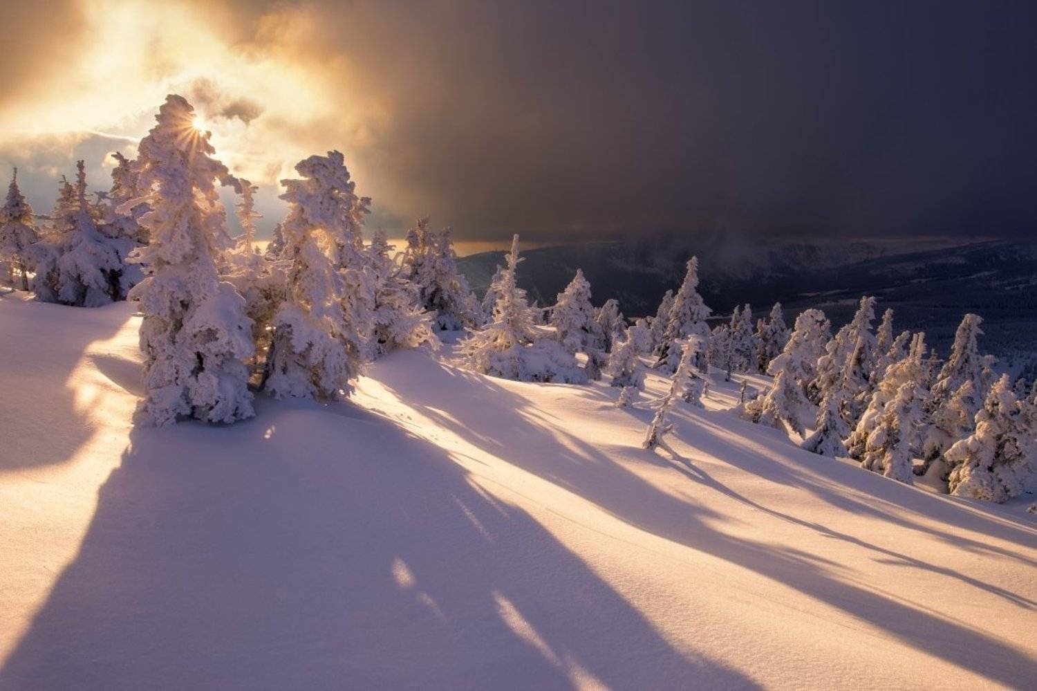 frozen, winter, mountains, czechia,snow,, Jakub M&uuml;ller