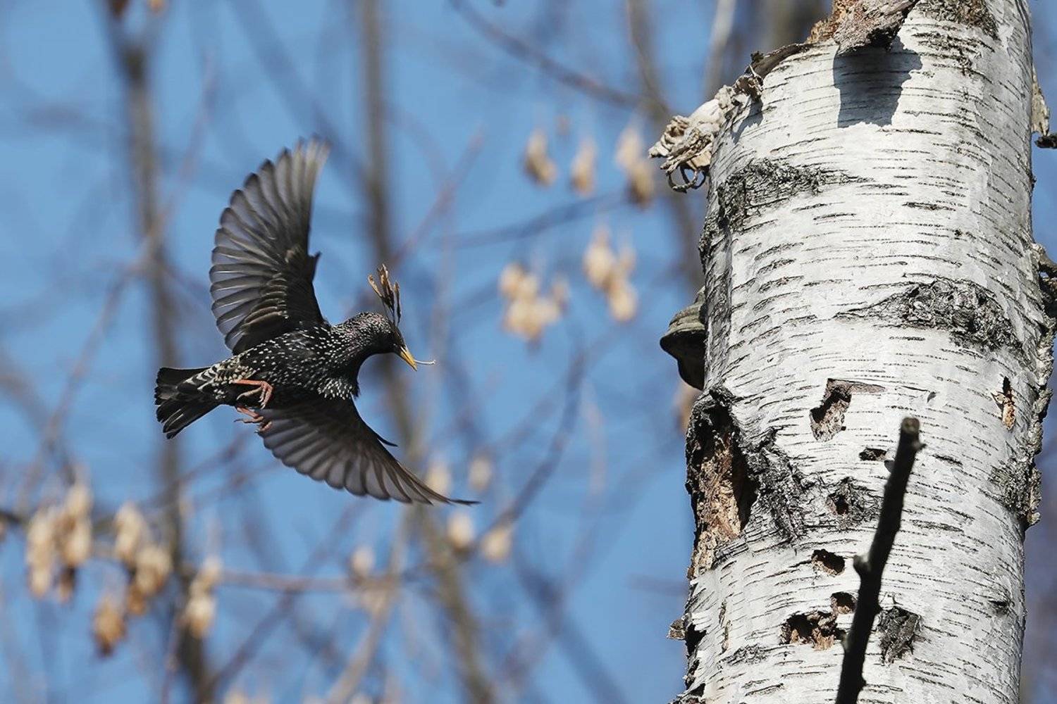 , Иваненко Светлана