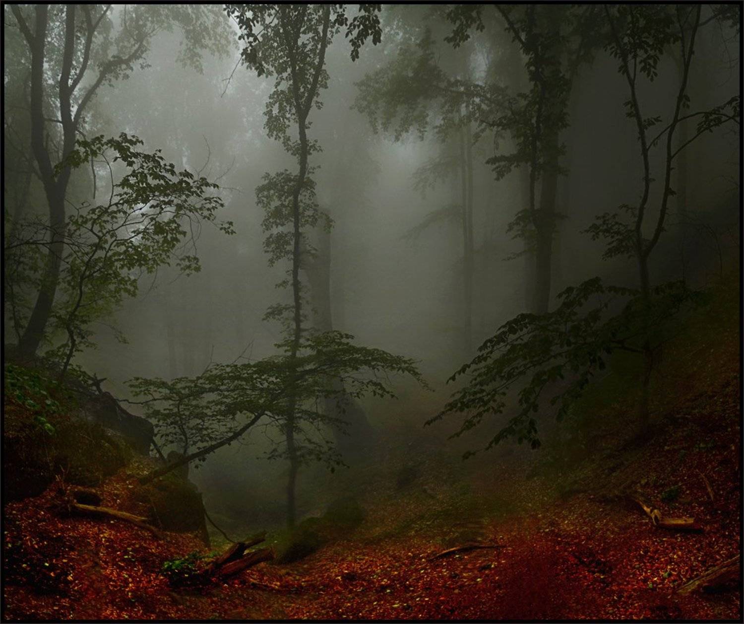 , Владимир Метцгер