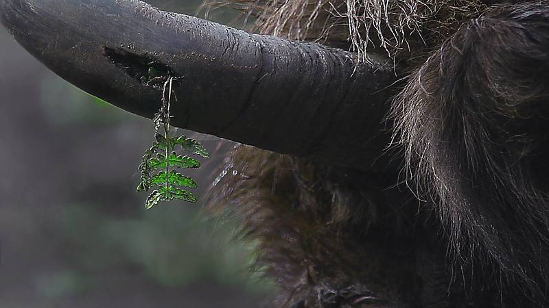 Жизнь зарождается фото превью