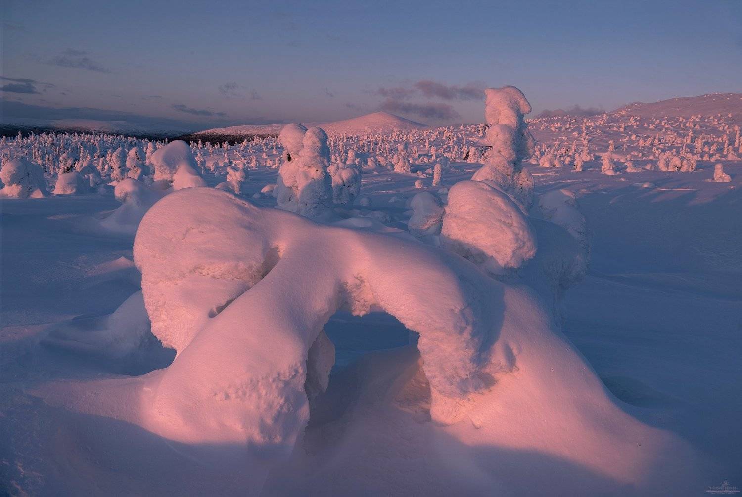 кандалакша, Попрошаев Сергей