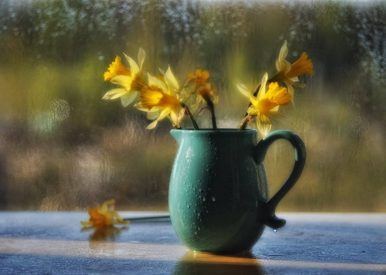 натюрморт,нарцисс, Наталия К