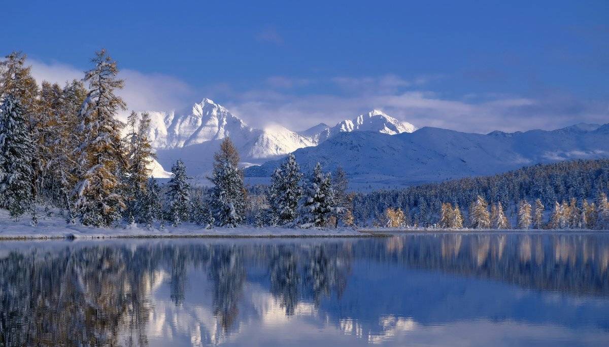 , Ольга Челдыкова