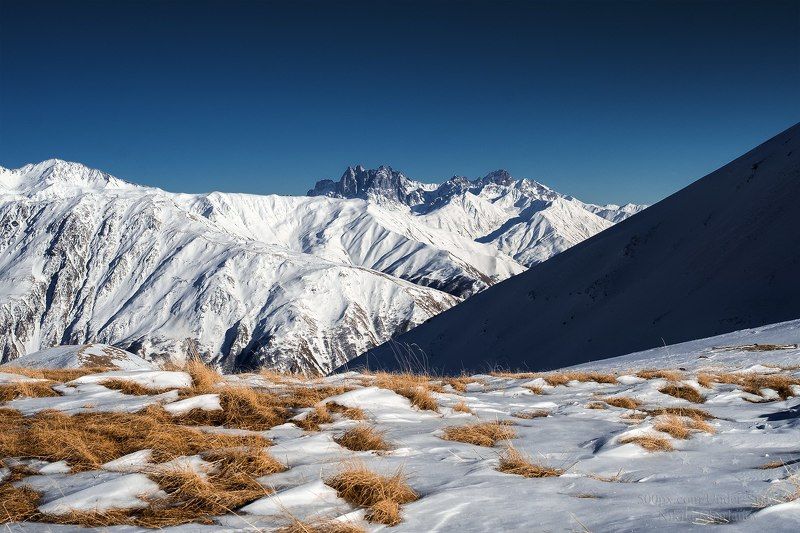 грузия, казбеги, кавказ, горы, снег, снежные вершины, гора, трава, зима, голубое небо, ясная погода, восхождение Казбеги, Грузия фото превью