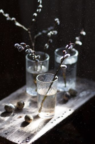 Весенняя пыль