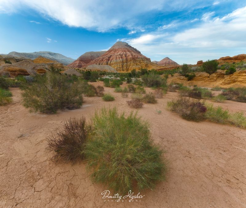 казахстан, Актау, пейзаж, путешествие, фототур, Илышев, природа, горы, закат, Алтын-Эмель Меловые горы Актау фото превью