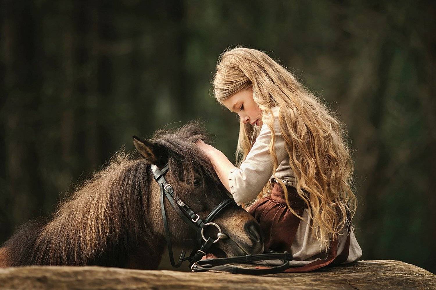 , Волкович Анна