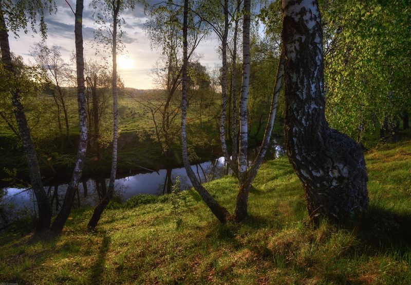 #пейзаж #весна #подмосковье #чехов #красиво #природа #закат #вечер  / Подмосковные вечера / фото превью