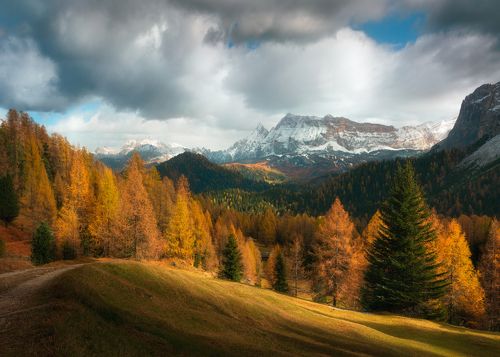 Дыхание ноября