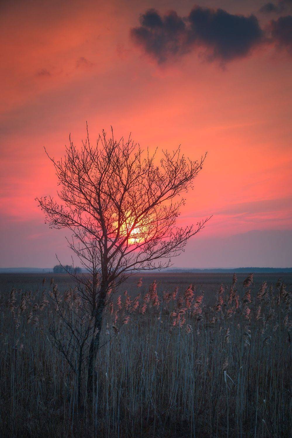 sky colors sunset clouds countryside outdoors Poland Podlasie, Maciej Warchoł