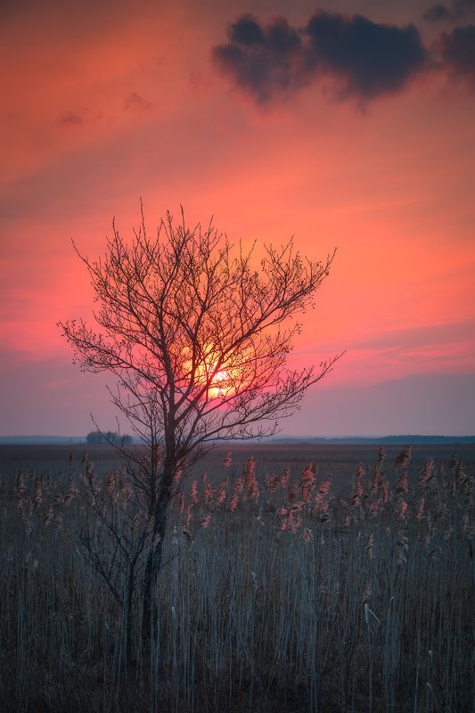 sky colors sunset clouds countryside outdoors Poland Podlasie Fiery sunset over Biebrza marshland фото превью