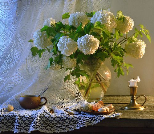 Вечернее удовольствие ...