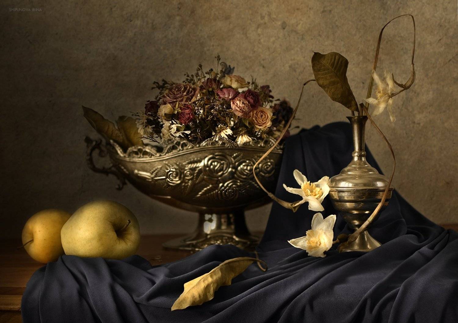 , Шипунова Ирина