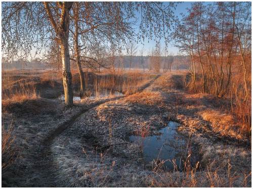 Прогулка весенним утром