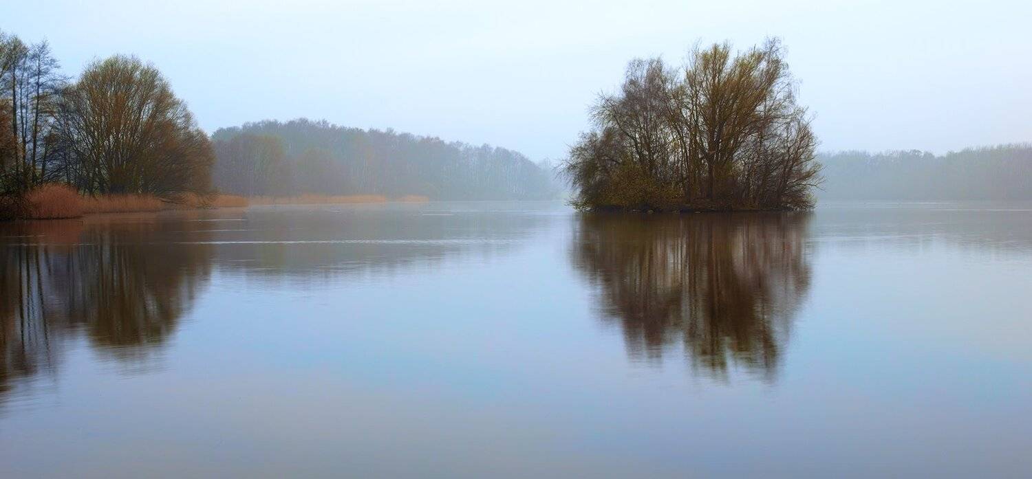 , Игорь Дубровский