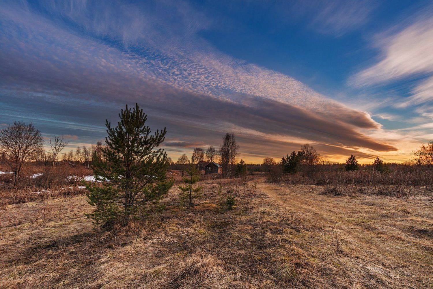 великий двор, весна, вологодчина, кема, север, Роман Горячий