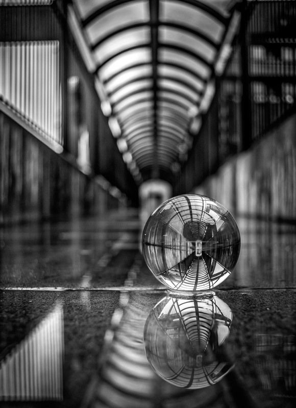 the ball фото превью