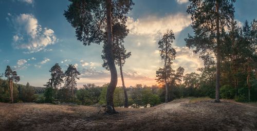 В преддверии новых дней