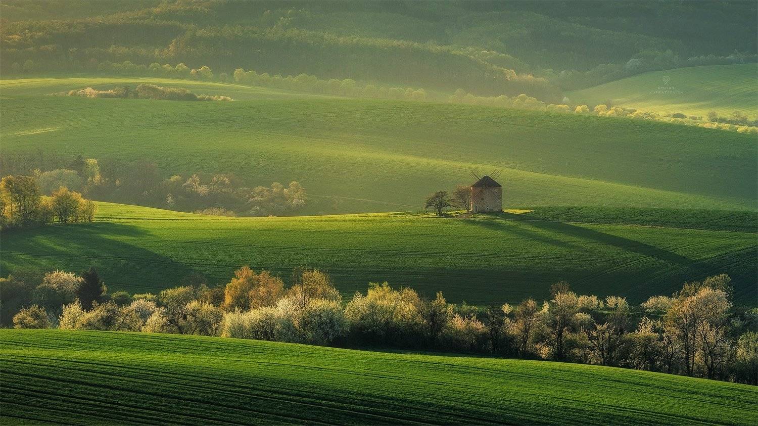 , Дмитрий Купрацевич