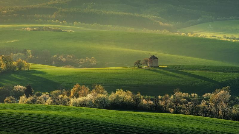 Perfect place