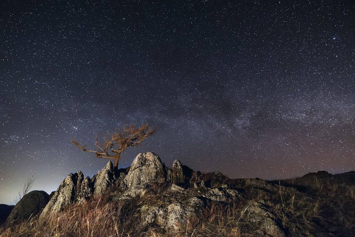 ночь, небо, звезды, пейзаж, дерево, Леонид Максименко