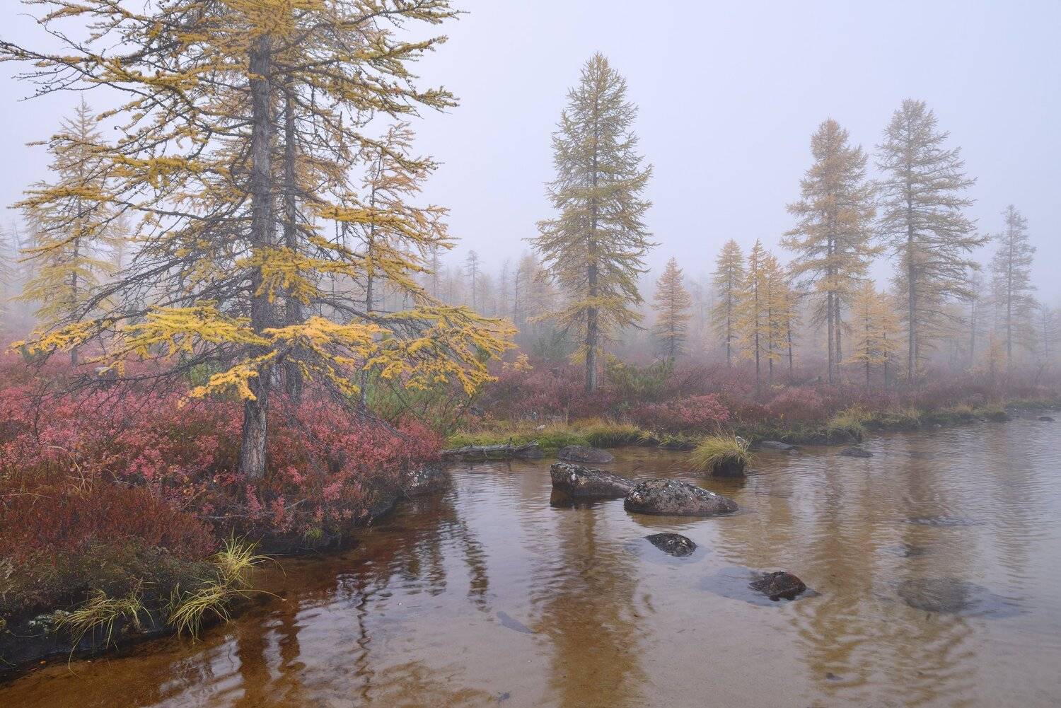 , Максим Евдокимов (phototourtravel.ru)