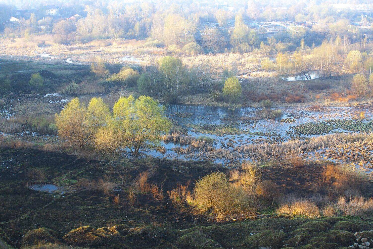 Россия, Московская область, Мытищи, Борис Резванцев