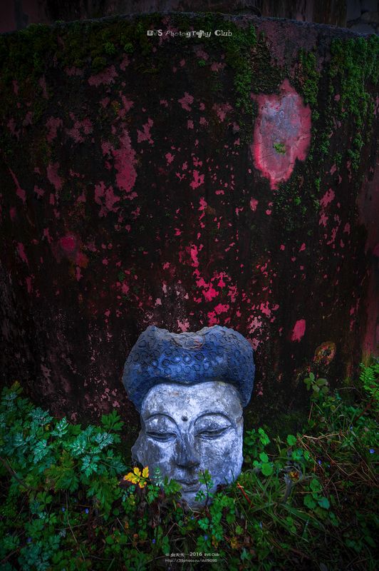 Stump Buddha 残佛 фото превью