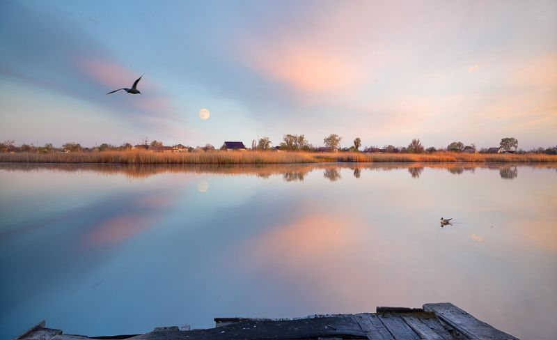 Очаровано... фото превью