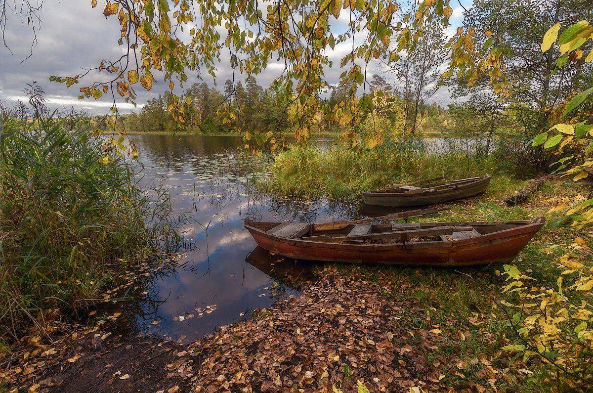 осень озеро лодка желтый листья камыш лес, Марина Мурашова