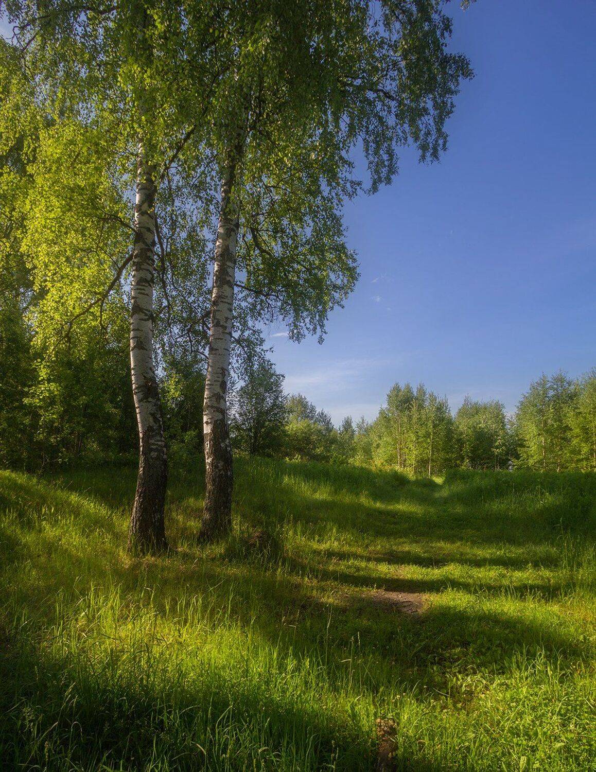 , Елена Рубинская