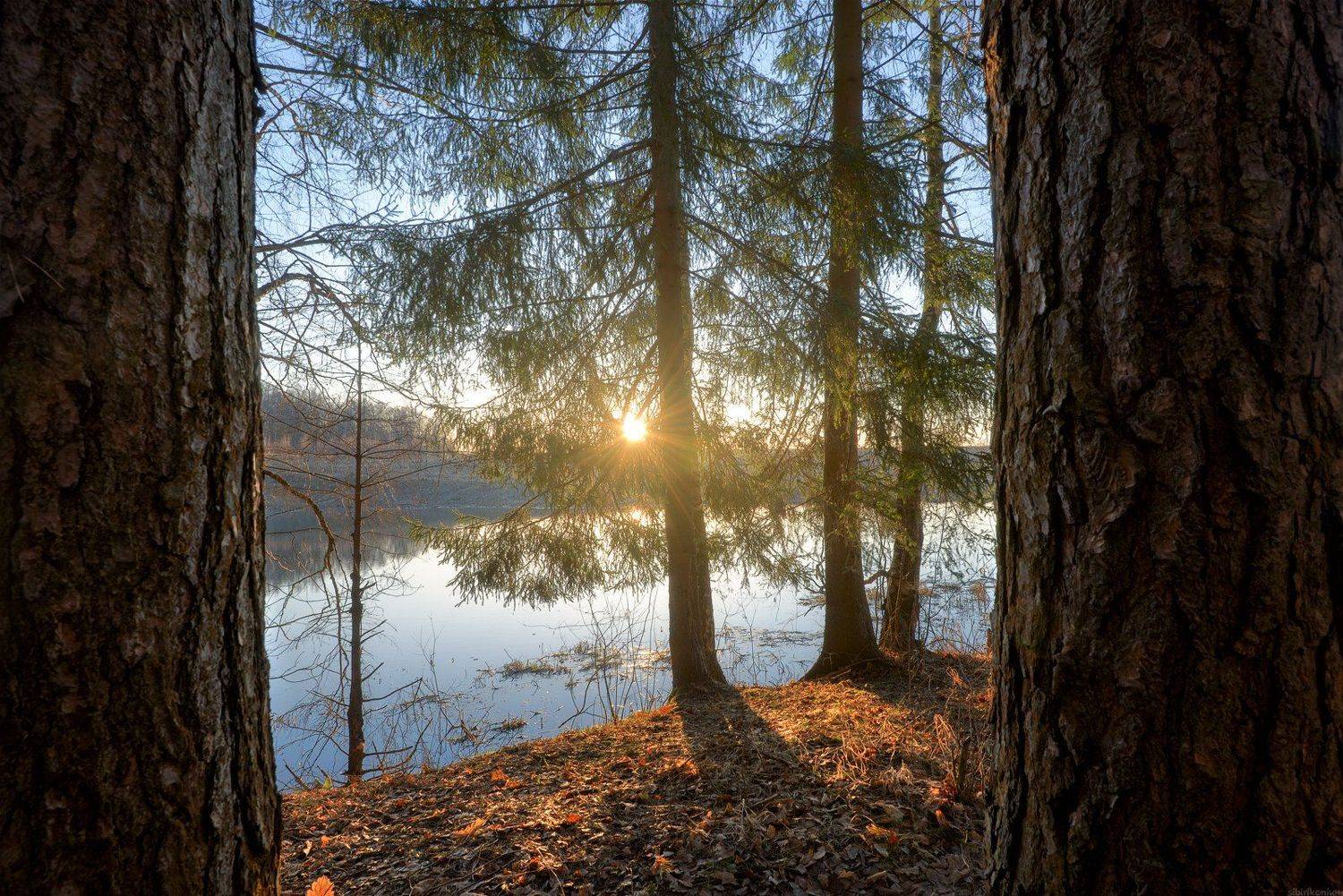 #пейзаж #весна #подмосковье #чехов #красиво #природа #восход #утро, Морозов Юрий