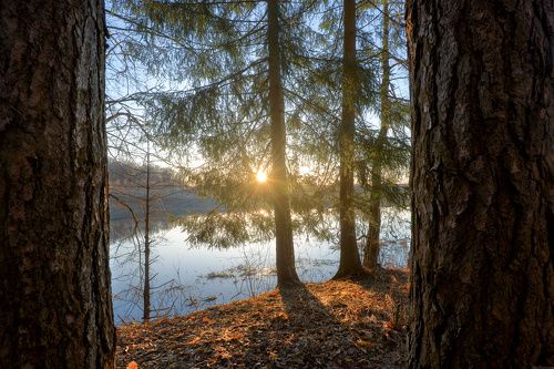 / Окно в весну /