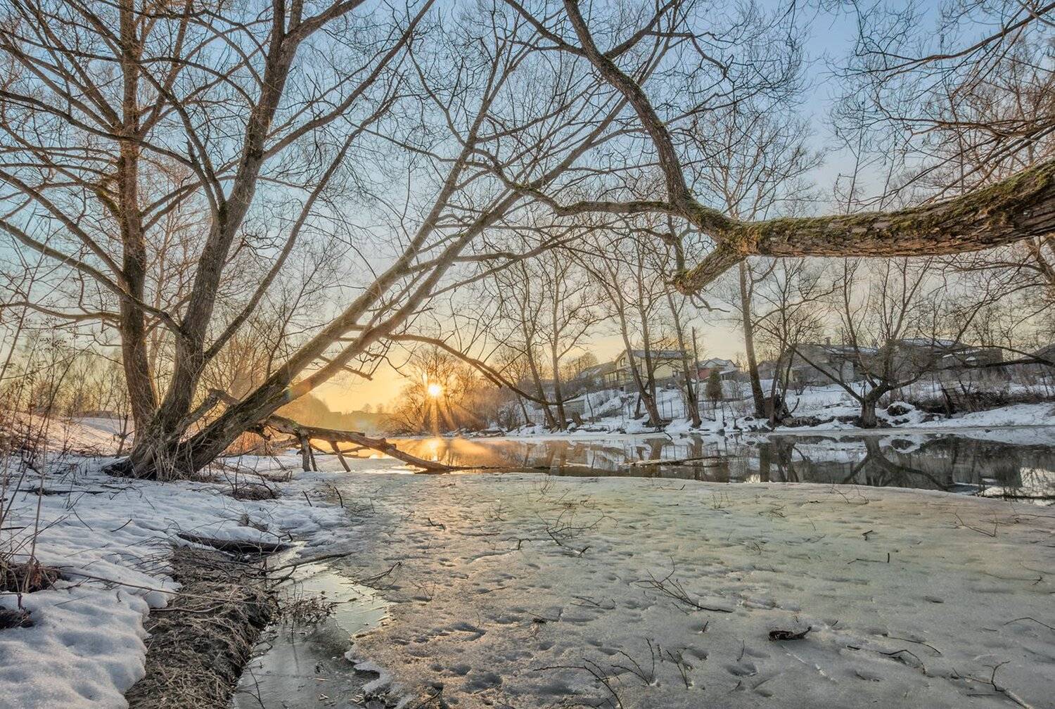 , Николай Андреев