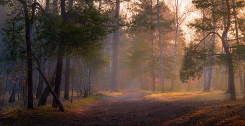 В утренних лучах. Апрель