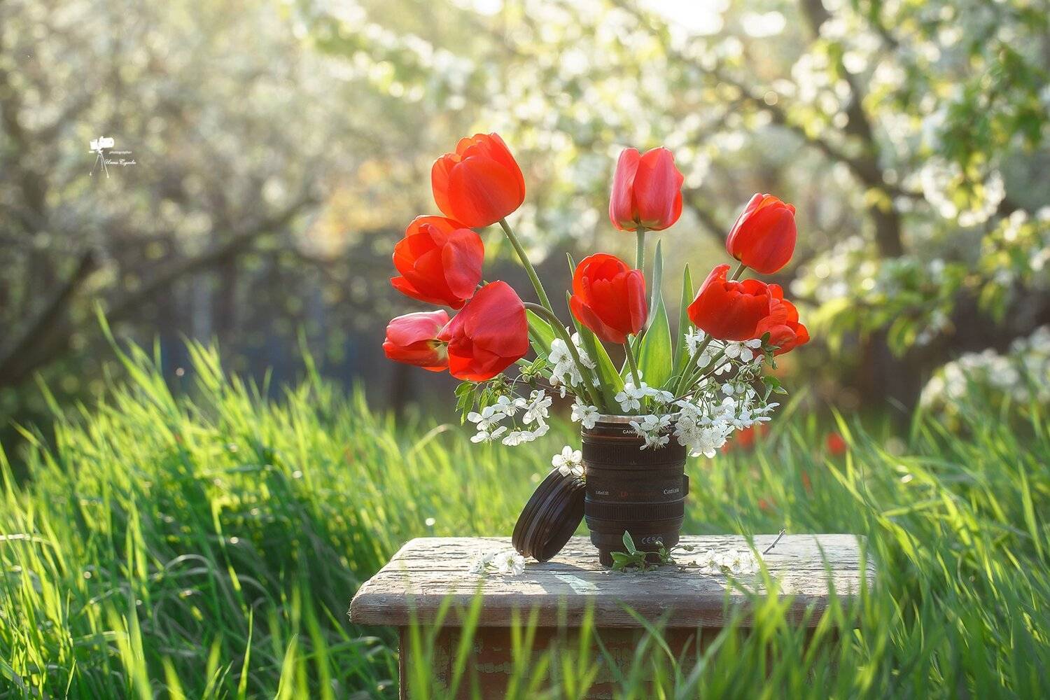 , Инна Сухова