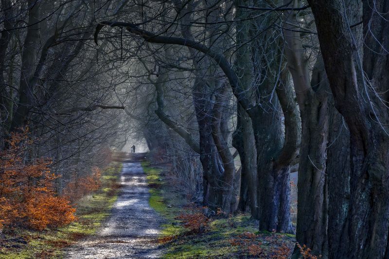 Поздняя осень в моем районе фото превью