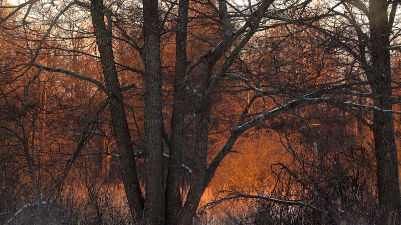 Контровичок фото превью