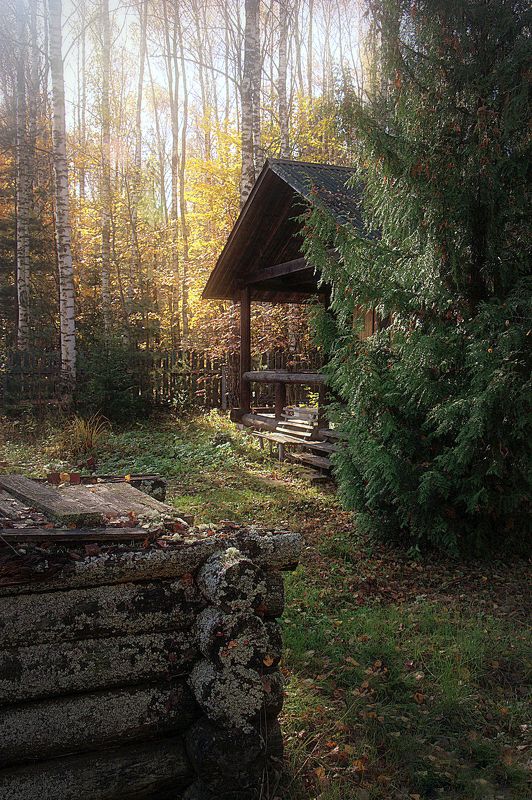 сергей алексеев, фото У старого колодца фото превью