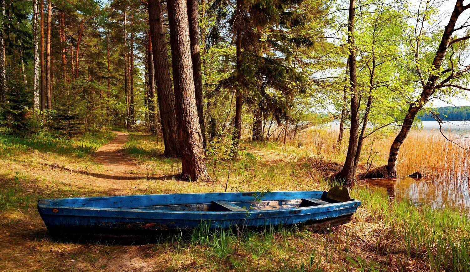 природа,пейзаж,беларусь,лес,озеро,весна, Sixten ( Сергей )