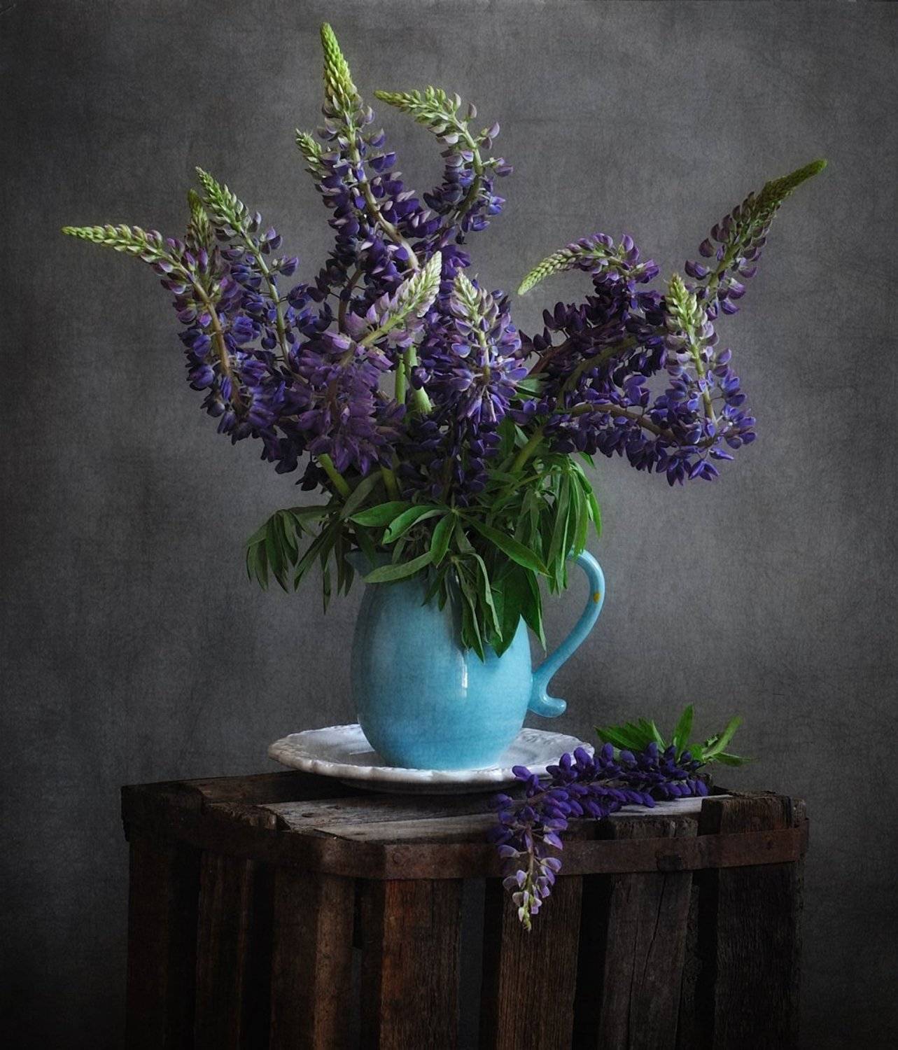 натюрморт,люпин, Наталия К