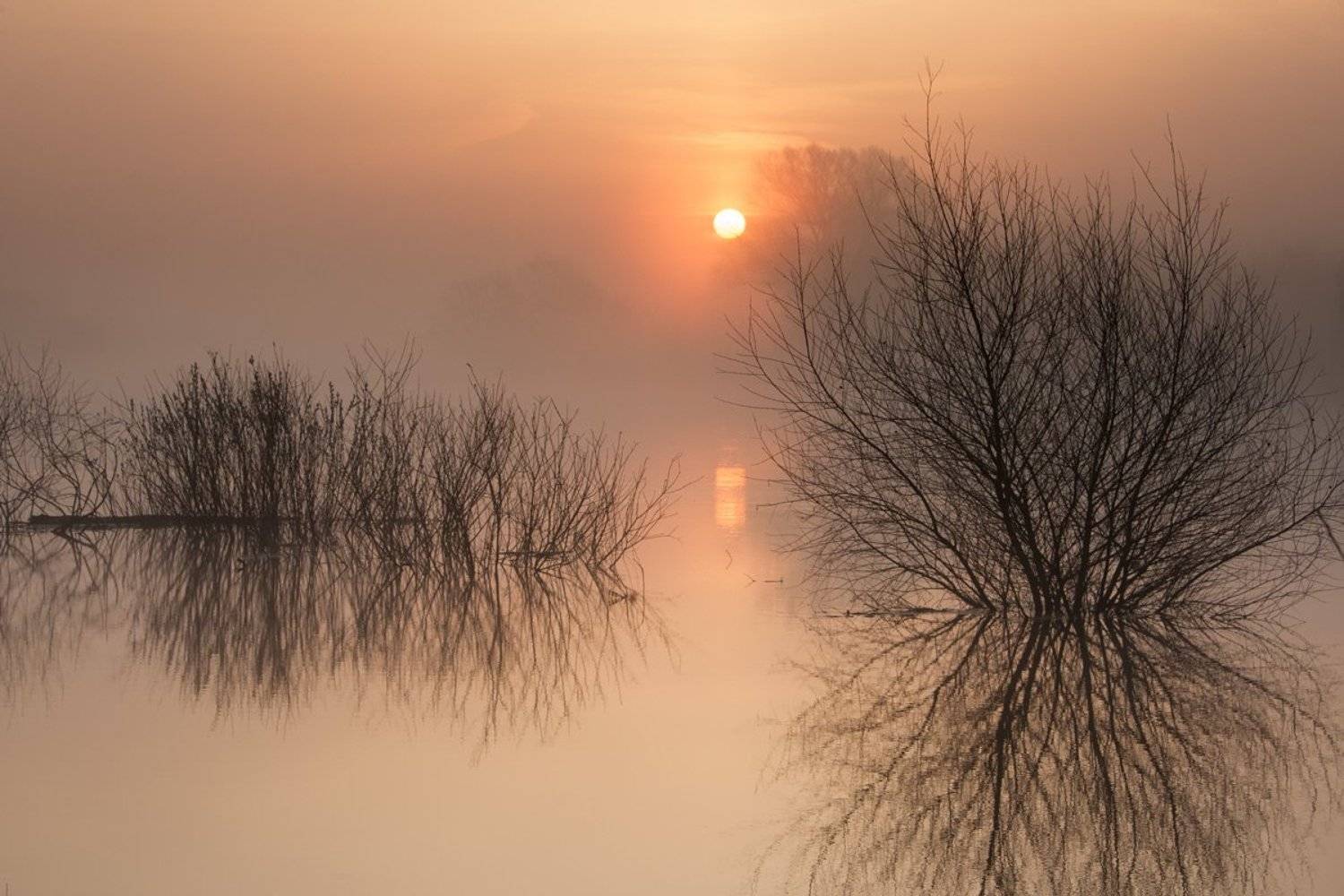 , Валерий Кондратов