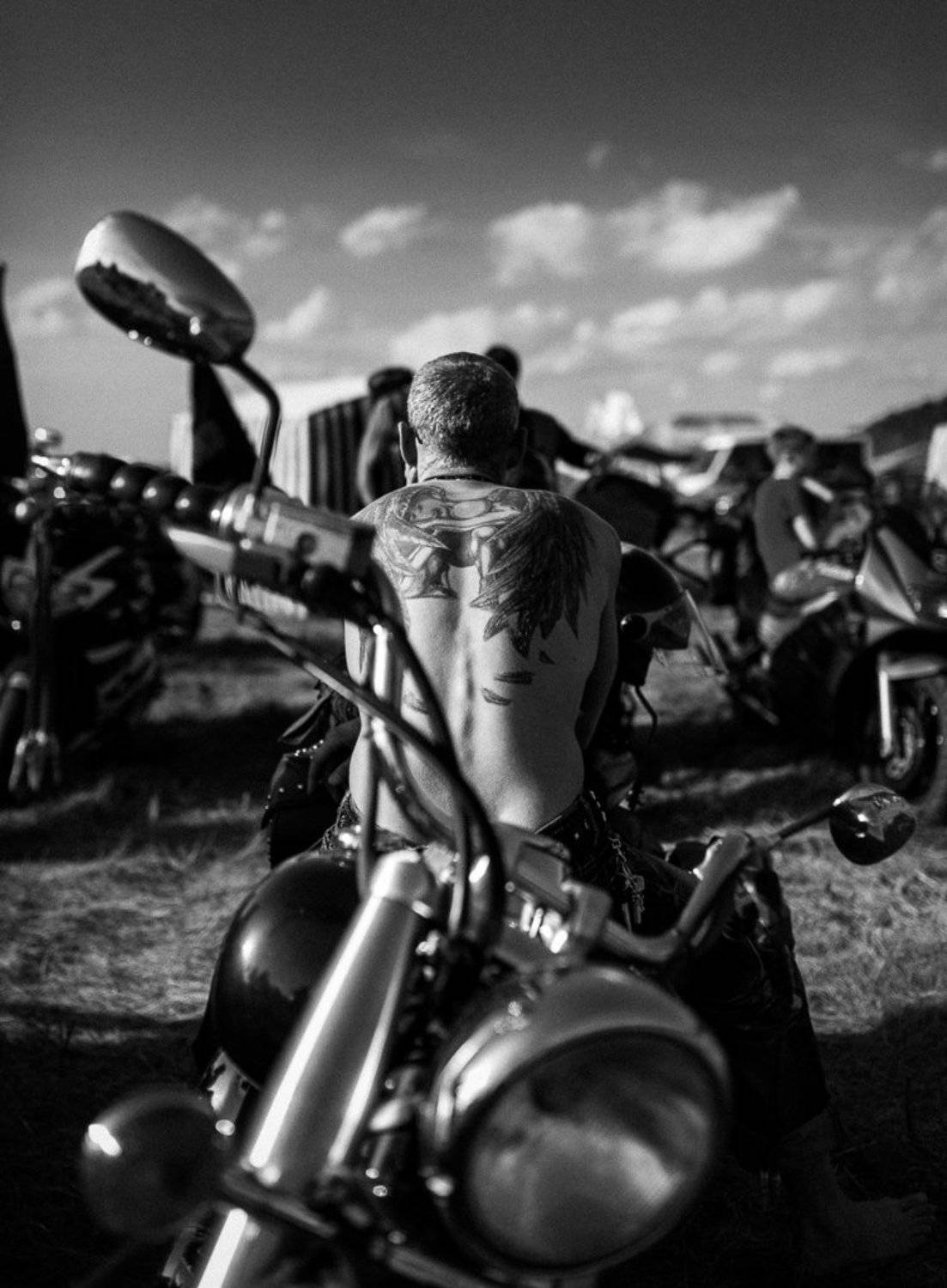 , Александр Губель