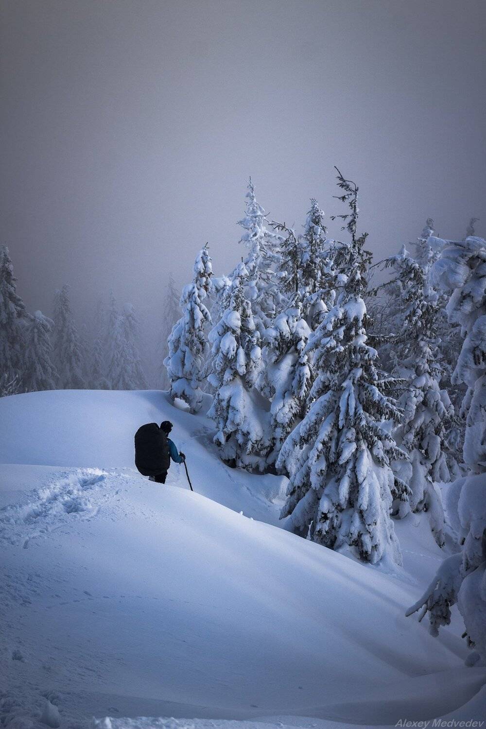 winter, cold, hut, house, forest, carpathains., Алексей Медведев