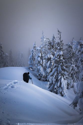 Не в лес не по дрова