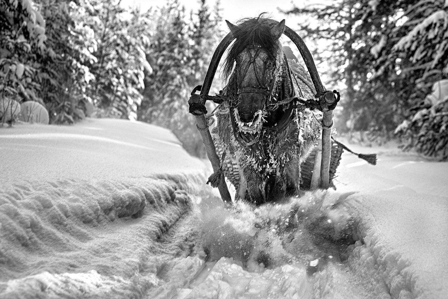 , Рашид Усманов