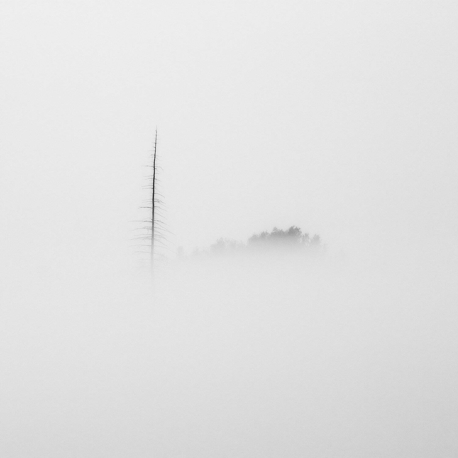 , Алексей Трофимов