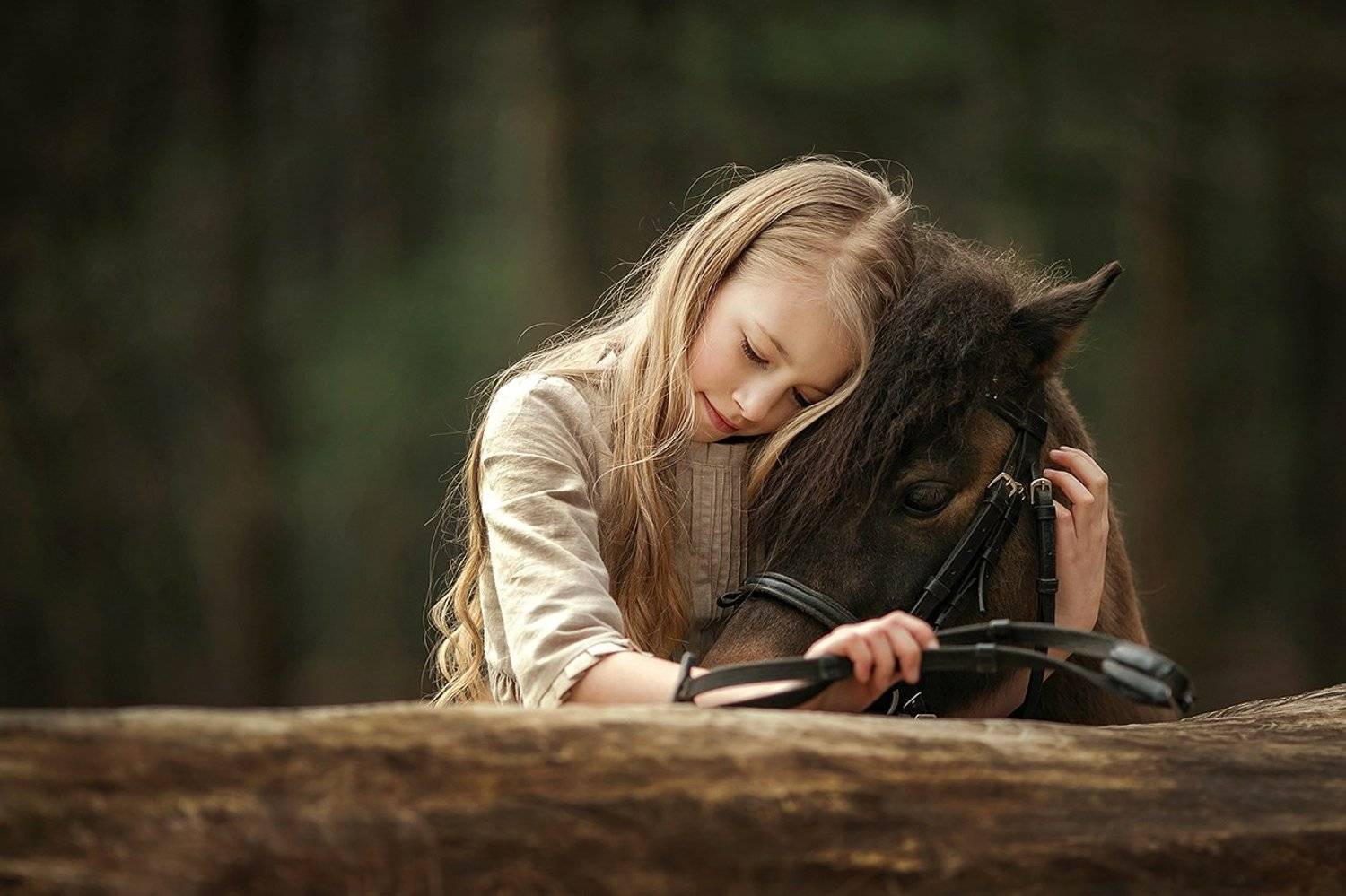 , Волкович Анна